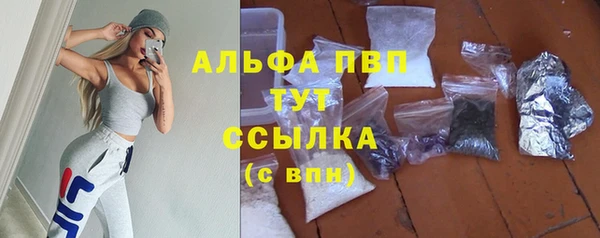 крисы Абаза
