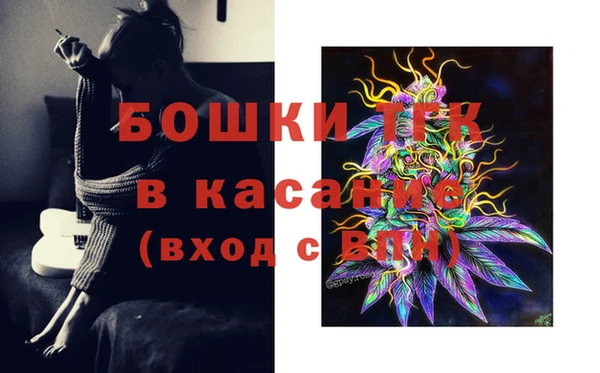 крисы Абаза