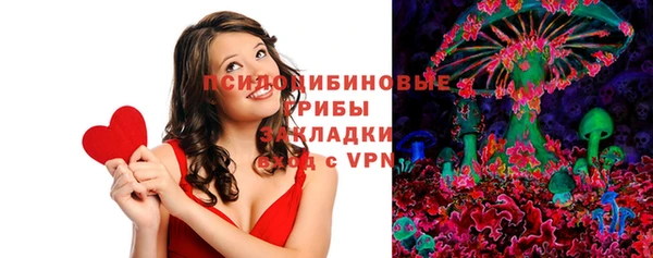 крисы Абаза
