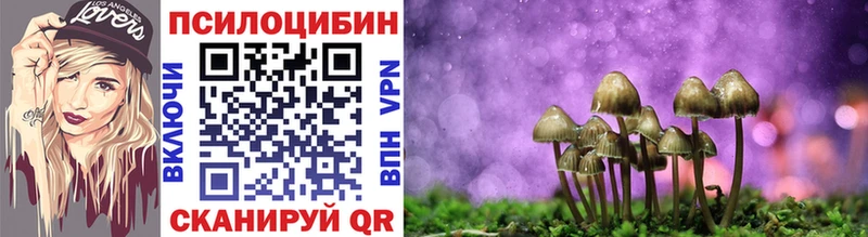 сколько стоит  Белая Калитва  Галлюциногенные грибы Psilocybe 