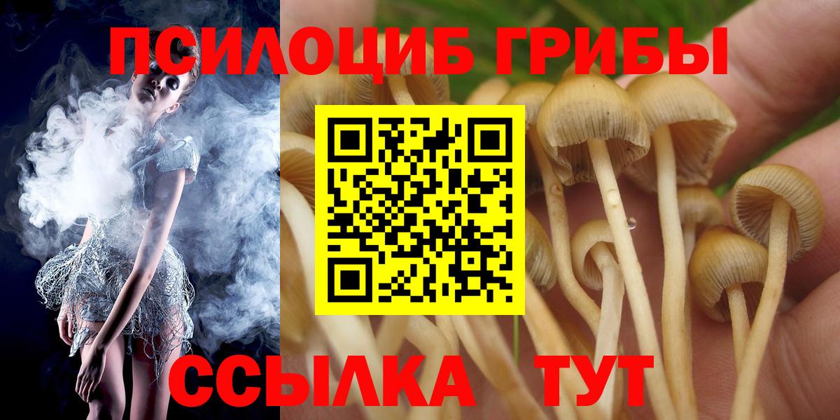 Белая Калитва  Галлюциногенные грибы Psilocybe  цена наркотик  Вход с VPN 